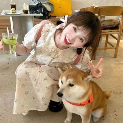 树上有个好地方