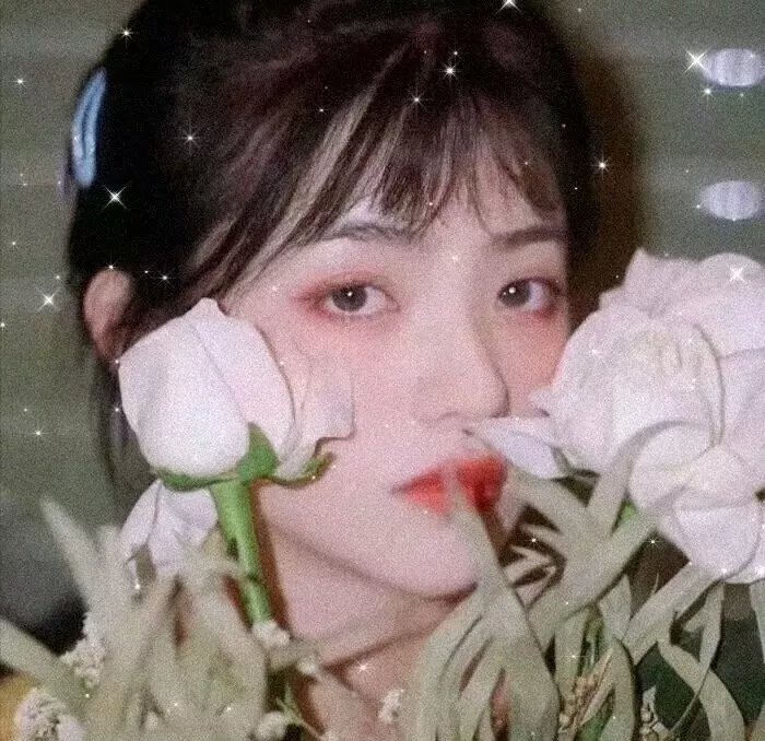 明星大侦探第六季